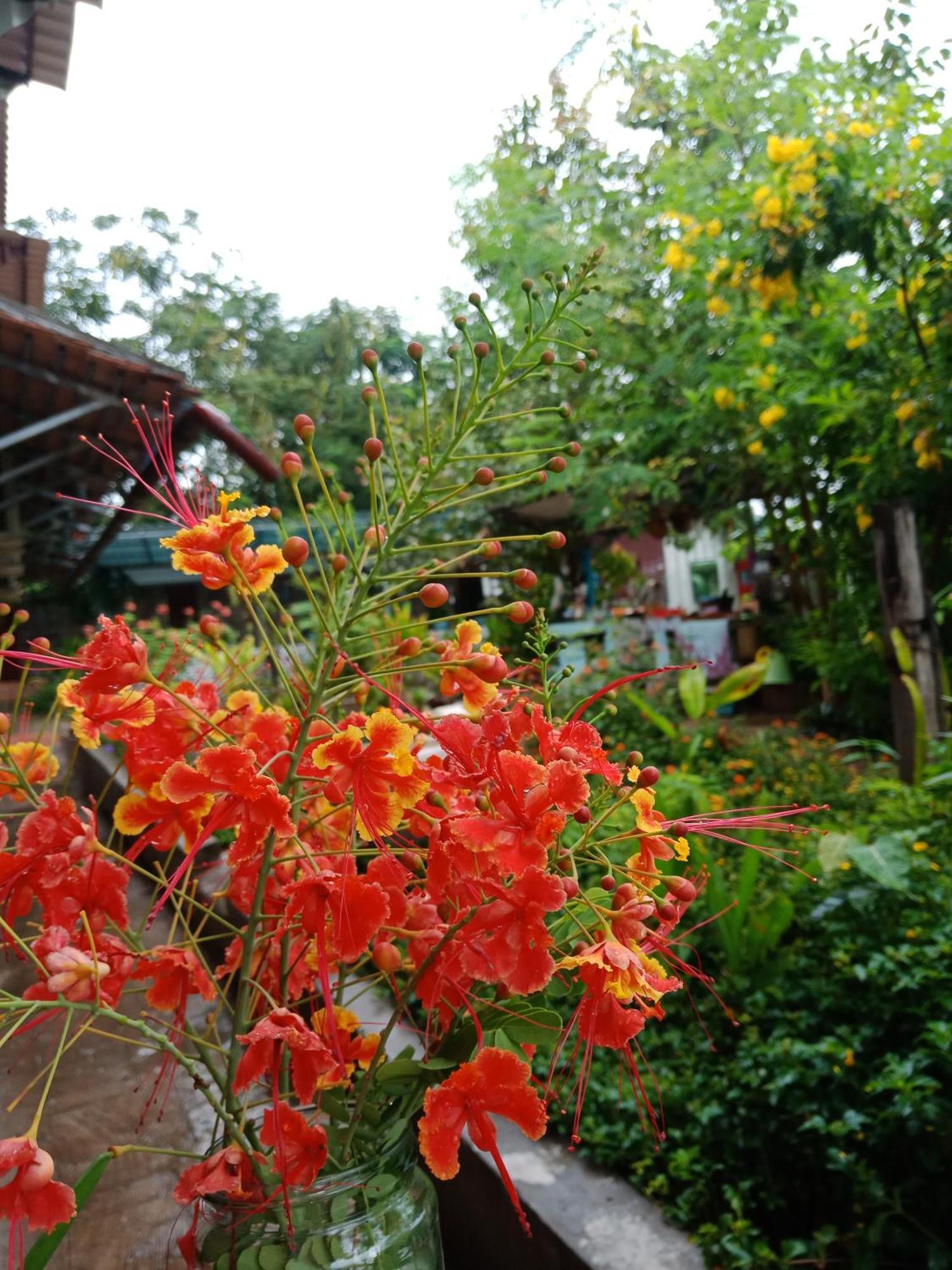 Silk Island Homestay Phnom Penh Exterior foto